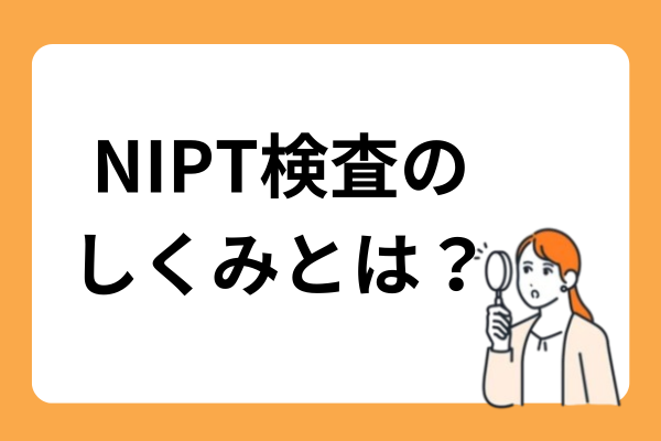 NIPT検査しくみ